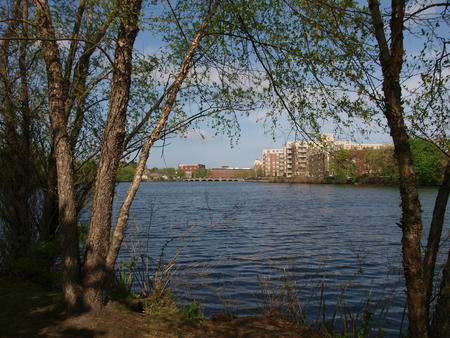Waltham from the riverwalk
