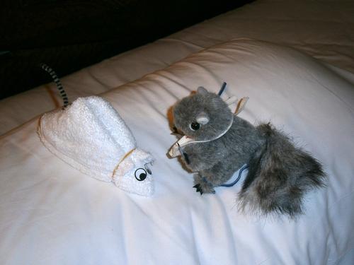 Livinea meets a new friend