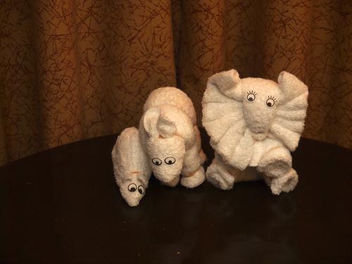 Towel animals