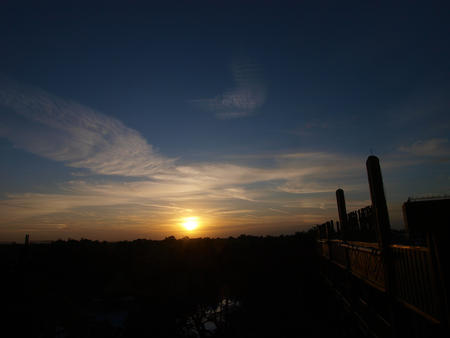 Sunrise over the Animal Kingdom Lodge #3
