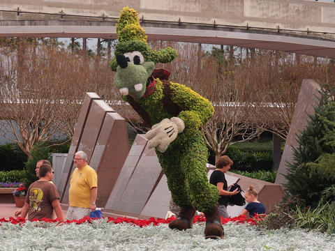Floral Christmas display