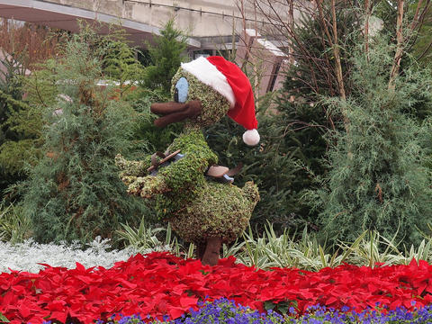 Floral Christmas display #2