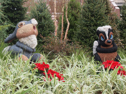 Floral Christmas display #3