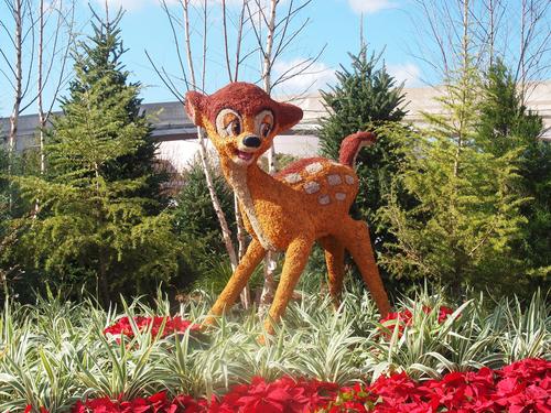 Floral Christmas display #4