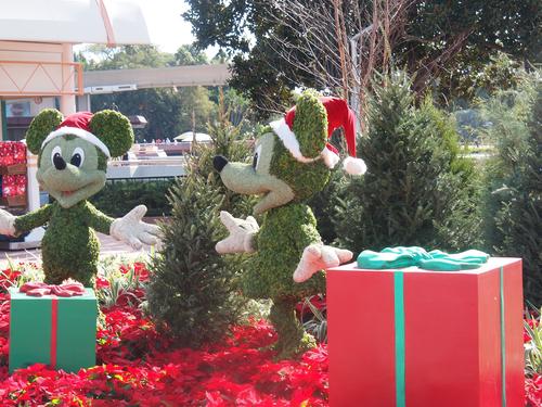 Floral Christmas display #5