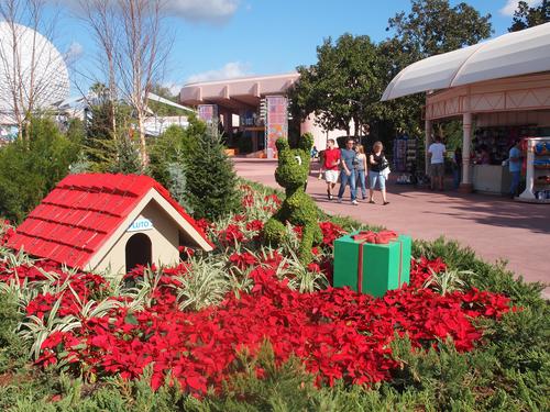 Floral Christmas display #6