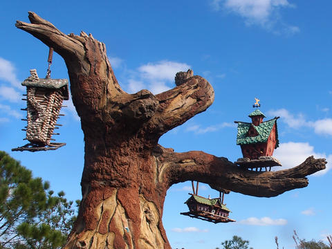 Splash Mountain ride #5