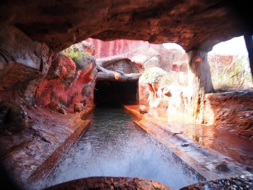 Splash Mountain ride #10