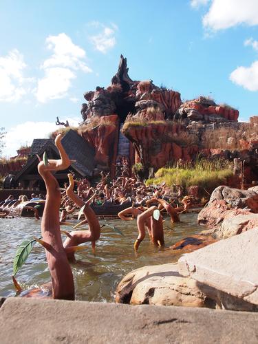 Splash Mountain ride #14