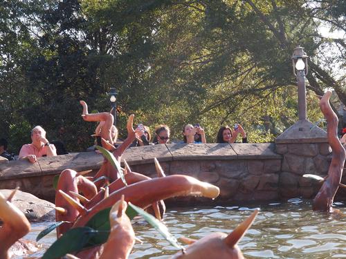 Everybody wants pictures