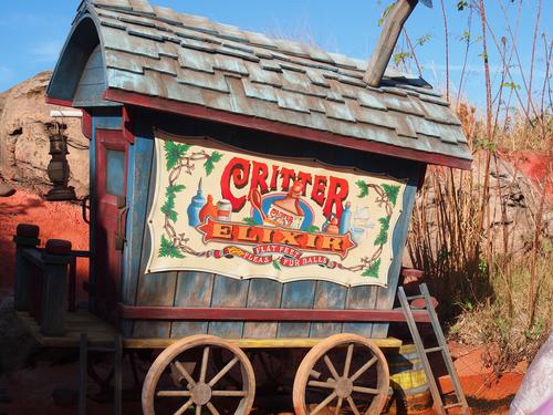 Splash Mountain ride #20