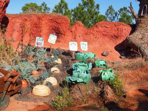 Splash Mountain ride #21