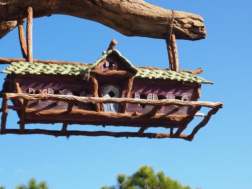 Splash Mountain ride #25