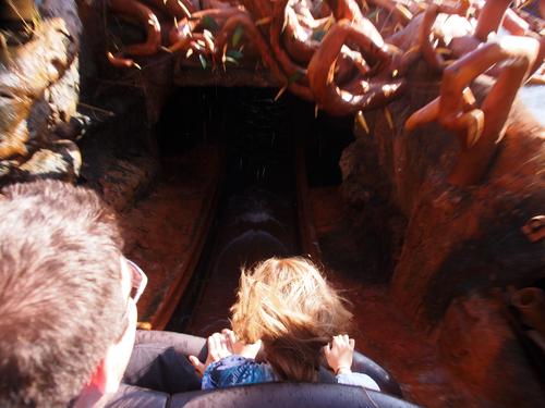 Splash Mountain ride #30