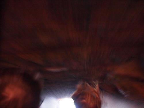 Splash Mountain ride #31