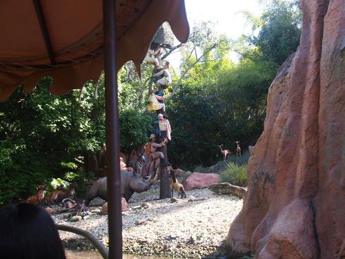 Jungle Cruise #4