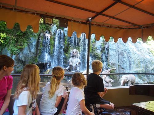 Jungle Cruise #7