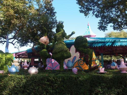 Alice topiary