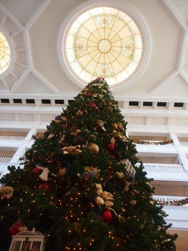 Christmas tree at the Grand Floridian hotel #3