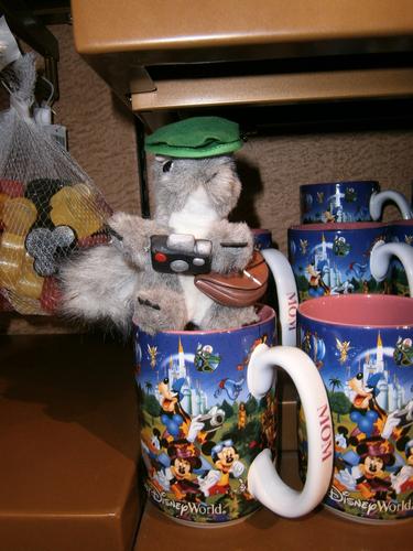 Cup of squirrel
