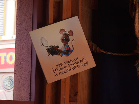 The taking of flash pictures is up to you