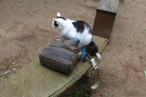 I claim your camera bag