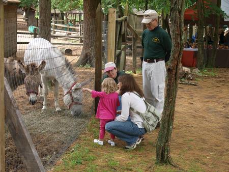 Look at the donkeys!