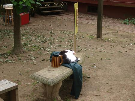 This cloak makes a good sleeping area