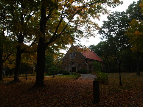 Fall in the Andover cemetery #2