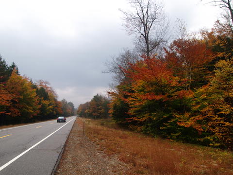 Fall highway