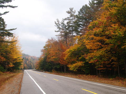 Fall highway #2
