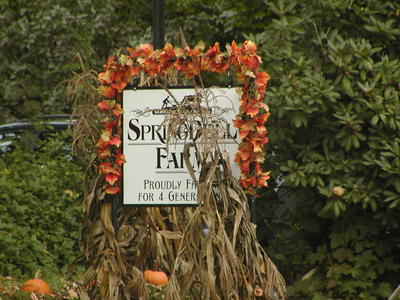 Springdell farm #2
