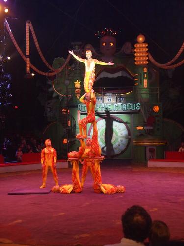 Acrobats #6
