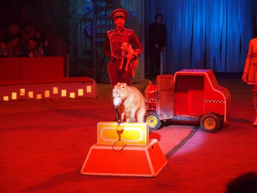 I want to accept this award....