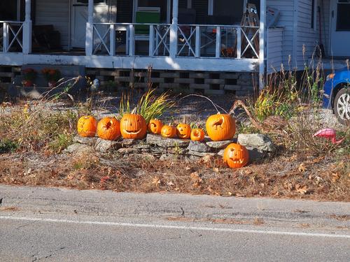 Carved pumpkins