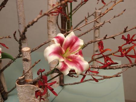 Lilies and birch #2