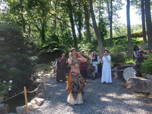 Diabolis in Musica #5