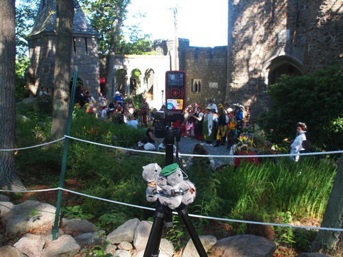 I've got a case of squirrels