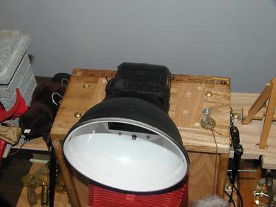 Flash and beauty dish