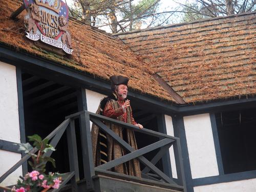 Royal court song and dance show #7