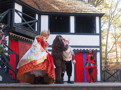 Royal court song and dance show #11