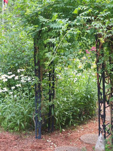 Welcome to the garden