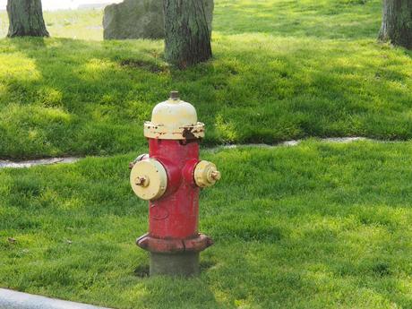 Fire hydrant