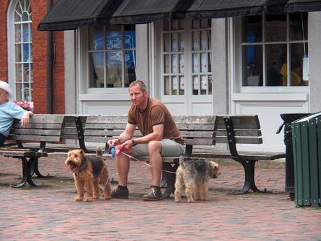 Man with dogs