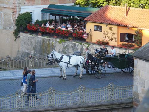Horse drawn carriage
