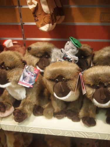 Nutzo finds some friends