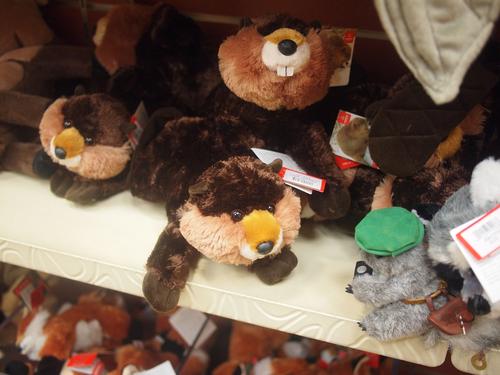 Nutzo finds some friends #2