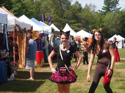 The cat and the fox #2