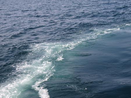 Whale bubble curtain