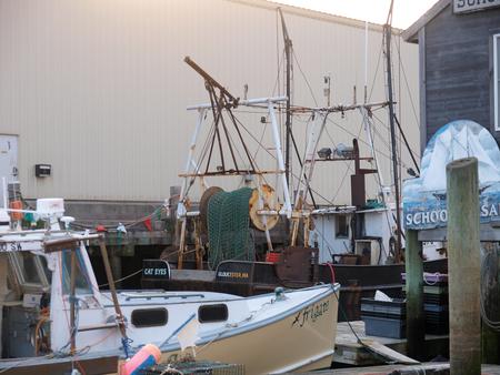 Gloucester harbour #5